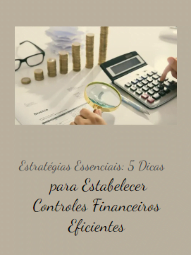 5 dicas para estabelecer controles financeiros eficazes