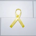 Curiosidade Sobre