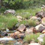 Goiás
