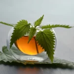 Urtiga