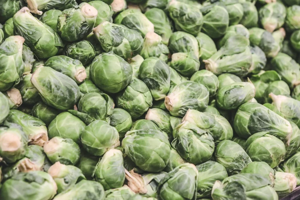 Vitamina B9 (Ácido Fólico)