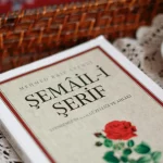 Curiosidade Sobre