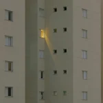 Curiosidade Sobre