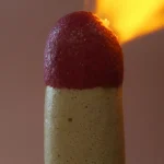 Curiosidade Sobre