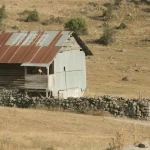 Curiosidade Sobre