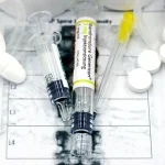 Curiosidade Sobre